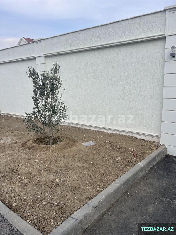 Fasad boyası və dekorativ fasad işləri — Tikinti materialları, Bakı (8)