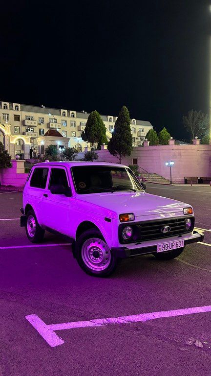 Lada (VAZ) Niva, 1.7 L, 2010 il, 200 000 km 99-UP-631 — Avtomobillər, Gəncə (8)