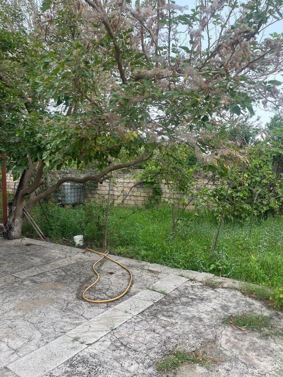 Bağ evi, Görədil qəs — Ev, villa, Bakı (8)
