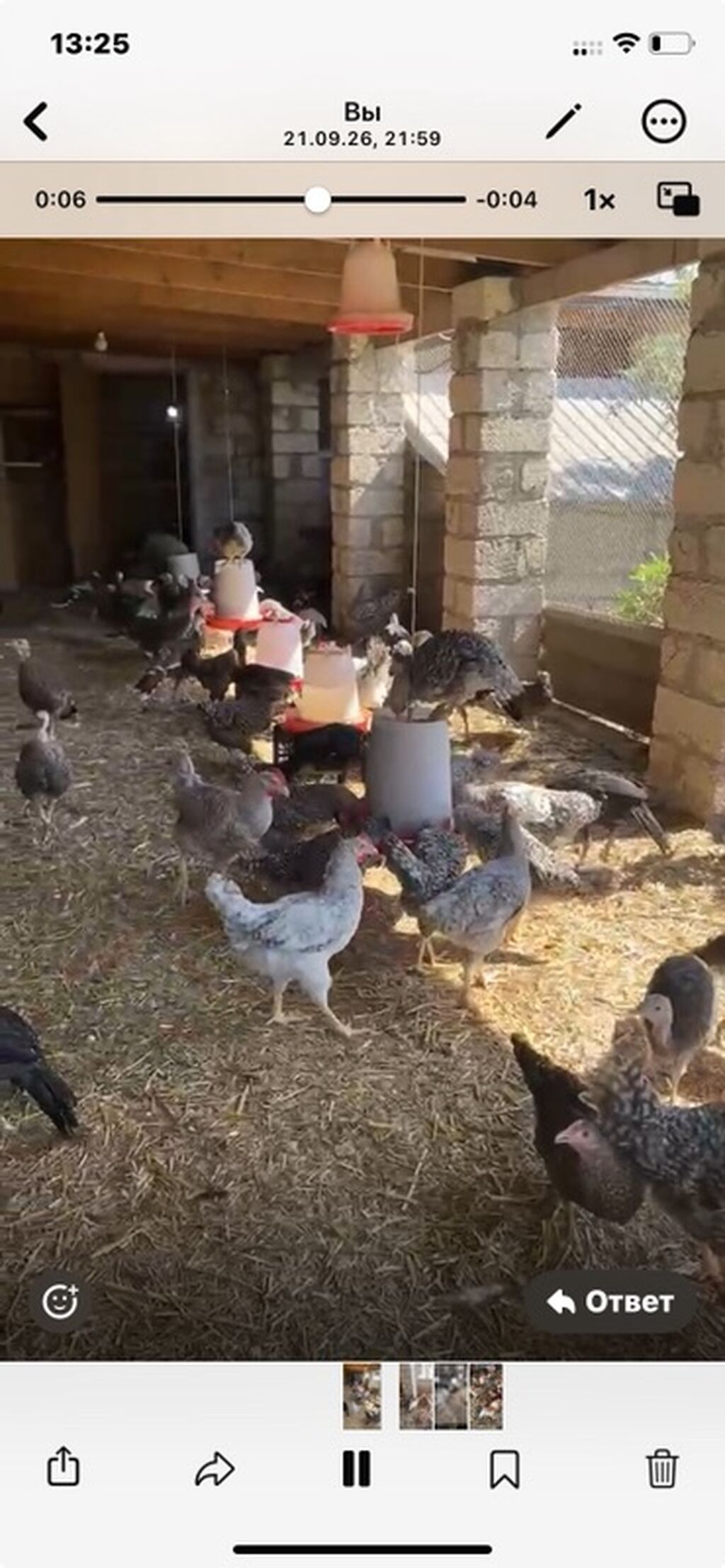 4 ayını kecmiş super xarkov xoruzları satılır Ünvan binə savxozda Tel — Toyuq və xoruz, Digah (3)