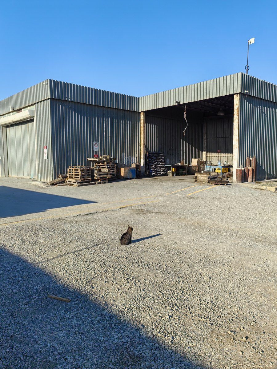 İcarəyə verilir obyekt 3500 m² — Əmlak, Bakı (4)