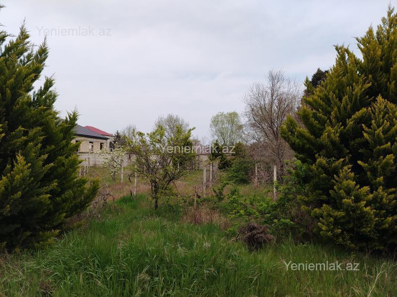 Satılır Torpaq sahəsi, 15 sot, Sabunçu rayonu — Torpaq, Bakı (5)
