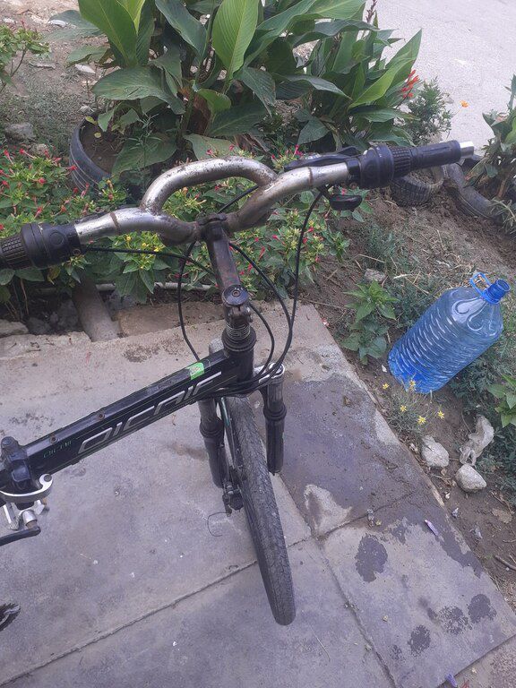 Velosiped — Velosipedlər, Bakı (2)
