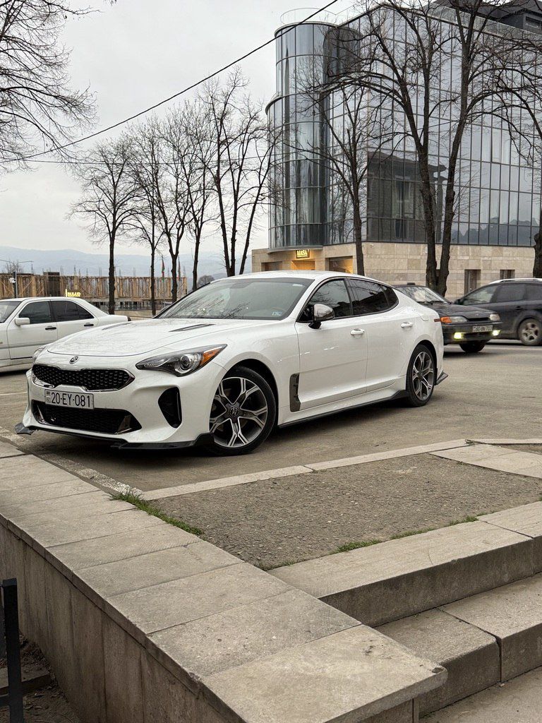 Kia Stinger, 2.0 L, 2020 il, 196 340 km 20-EY-081 — Avtomobillər, Ağdam (5)