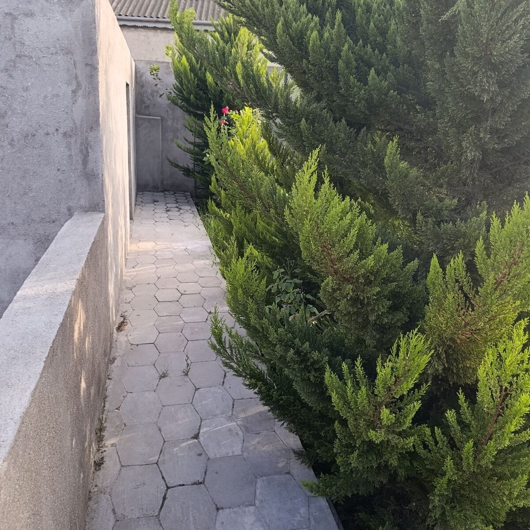 Həyət evi, Binəqədi r — Ev, villa, Bakı (11)