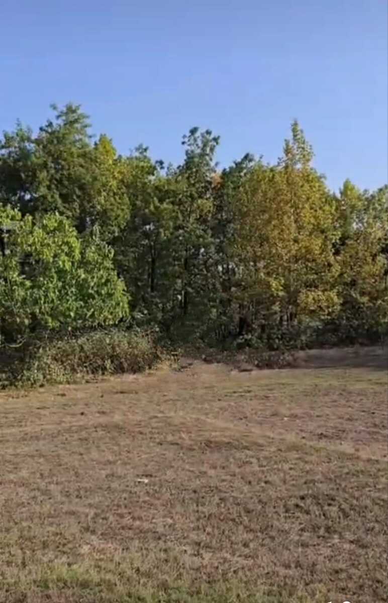 1300 sot torpaq sahəsi, Lənkəran ş — Torpaq, Lənkəran (4)