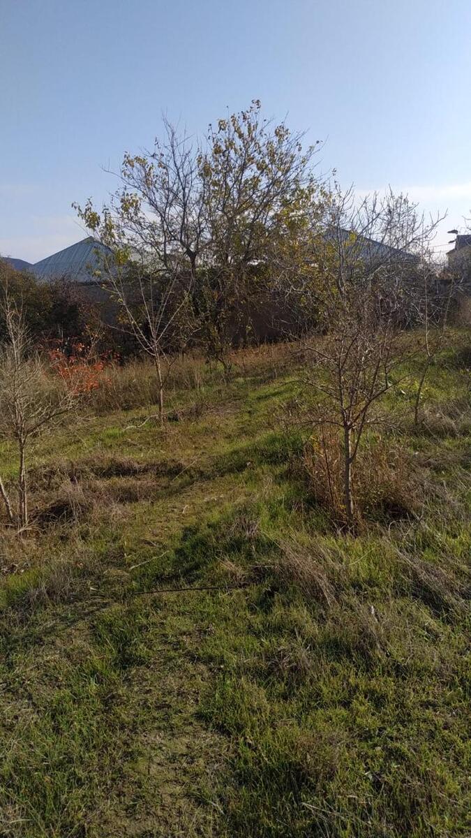 Satılır torpaq 5.5 sot — Torpaq, Bakı (4)