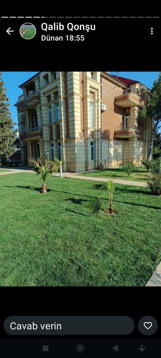 Təbii Qazon — Bitkilər, Bakı (5)