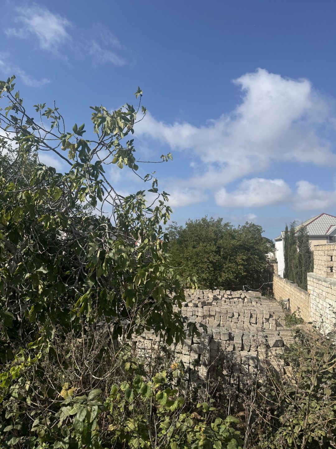 29 sot torpaq sahəsi, Albalılıq yaşayış massivi — Torpaq, Bakı (5)