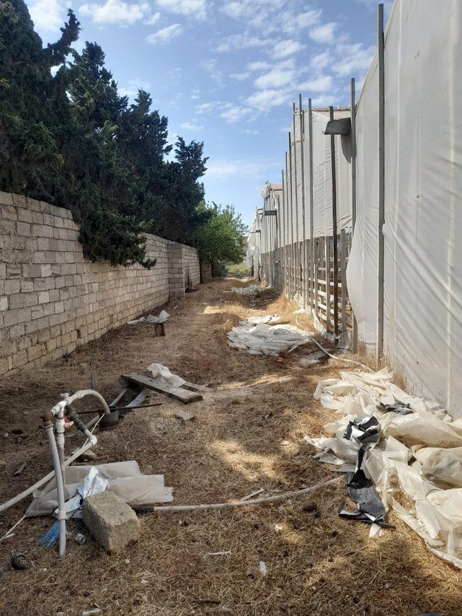 Torpaq sahəsi, 135 sot, Kənd təsərrüfatı təyinatlı, Çıxarışlı, Xəzər rayonu,Buzovna qəs., Bakı — Torpaq, Bakı