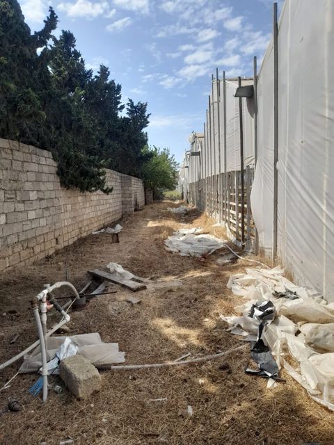 Torpaq sahəsi, 135 sot, Kənd təsərrüfatı təyinatlı, Çıxarışlı, Xəzər rayonu,Buzovna qəs., Bakı — Vəfa Rəhimova