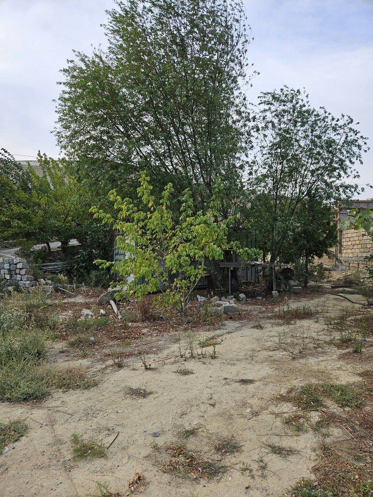 Satılır torpaq 9 sot — Torpaq, Bakı (3)