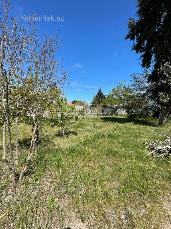 Satılır 5 otaqlı Həyət evi / Villa, 200 m², Novxanı — Ev, villa, Abşeron (7)