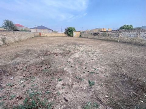 10 sot, Tikinti, Maklerlər narahat etməsin, Kupça (Çıxarış) — Novxanı