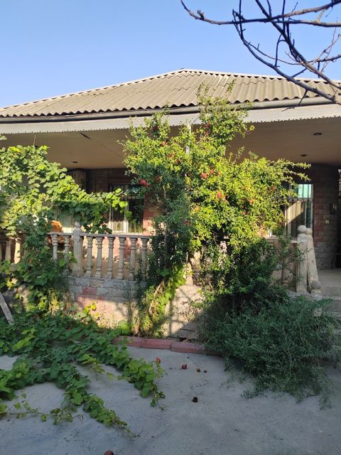 Satılır 3 otaqlı həyət evi/bağ evi 84 m² — Bakı