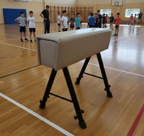 Gimnastika üçün tullanma atı (vaulting horse) - Məqsəd: məktəb və — Digah