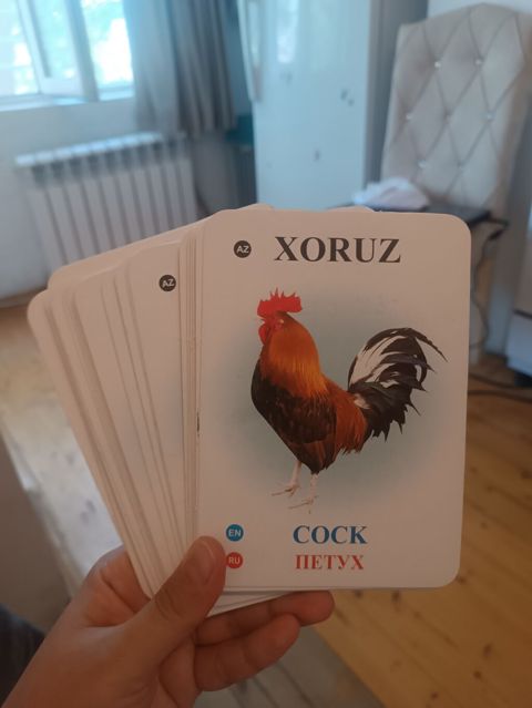 Loqoped ve psixoloq kartları. heyvan meyvə tərəvəz,hereket — Bakı