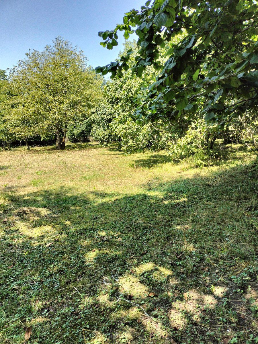 Satılır torpaq 60 sot — Torpaq, Qəbələ (5)