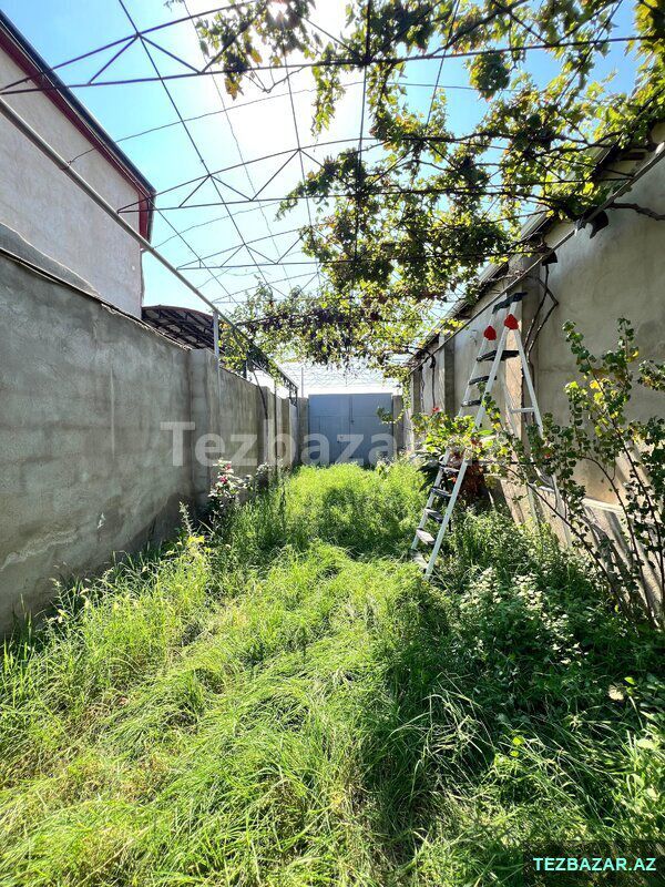 savalanda 4 sotda 4 otaqli 2 mertebeli ev satilir — Ev, villa, Bakı (7)