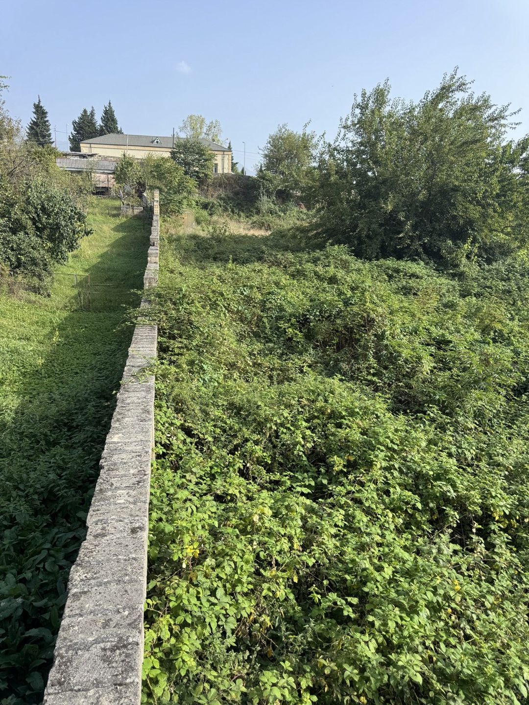 Satılır torpaq 32 sot — Torpaq, Zaqatala (4)