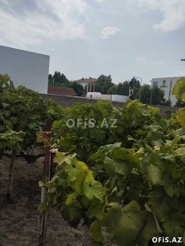 Torpaq Satılır Sabunçu r., Nardaran q., 6 sot — Torpaq, Bakı (3)