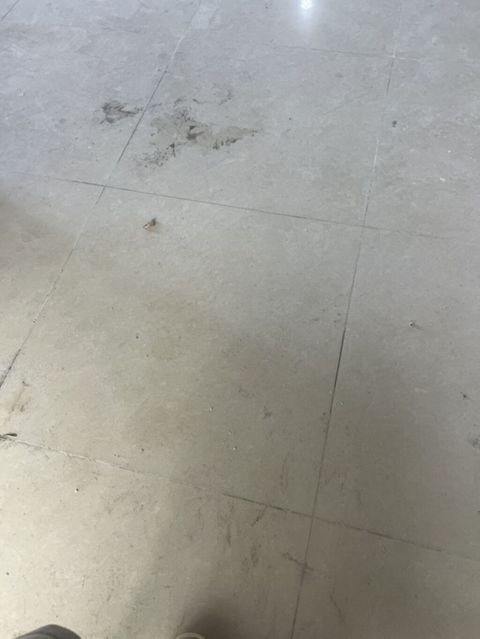Təbii daş görkəmli döşəmə plitələri - Material: parlaq səthli, bej — Digah