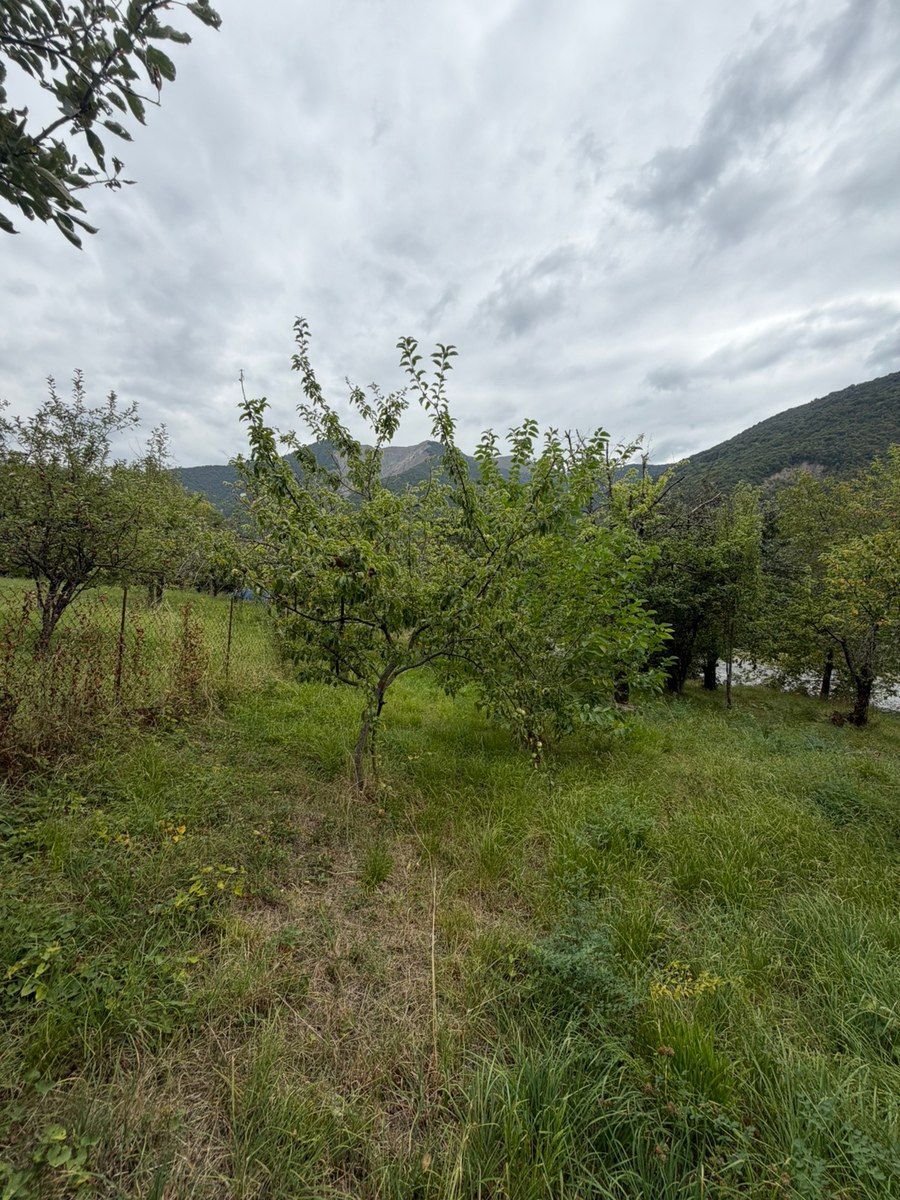 Həyət evi, Şəki ş — Ev, villa, Şəki (9)