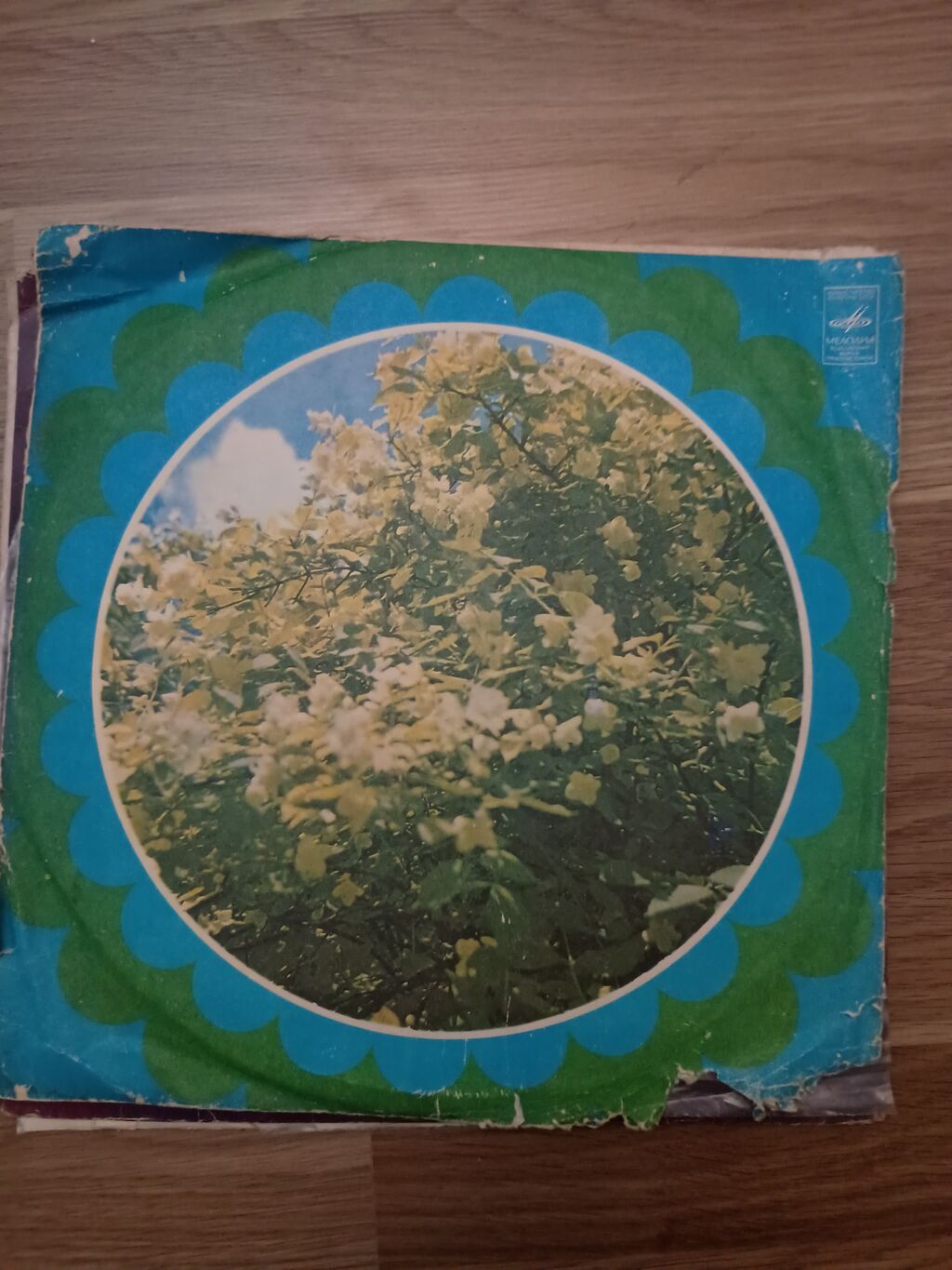 Vinil plastinka: Zeynəb Xanlarovanın ifaları – “Melodiya” (Ссср) — Qramoplastinkalı, Digah