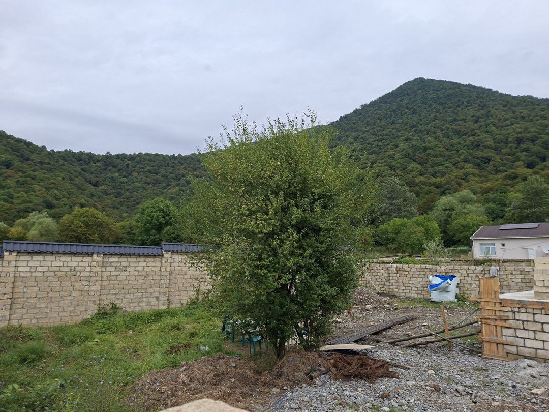 Satılır torpaq 3 sot — Torpaq, Qəbələ