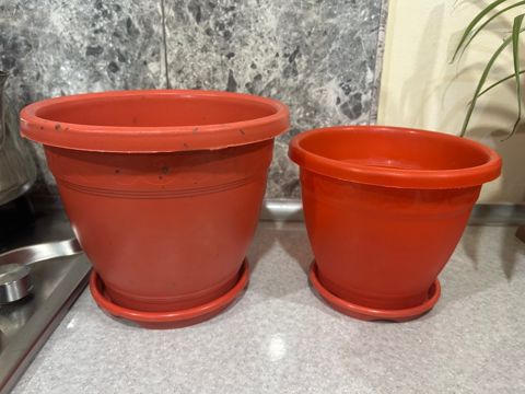 Dibçəklər — Bakı