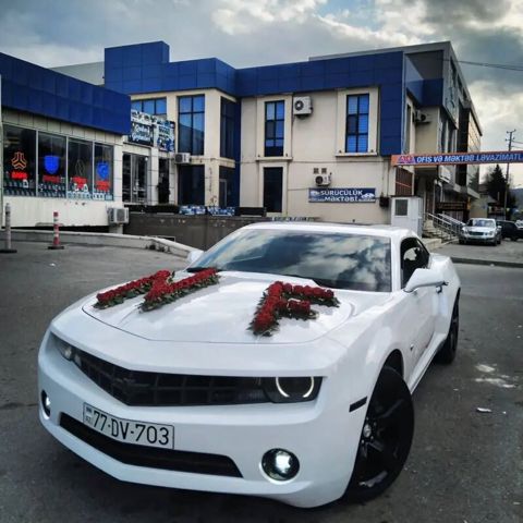 Camaro — Bakı