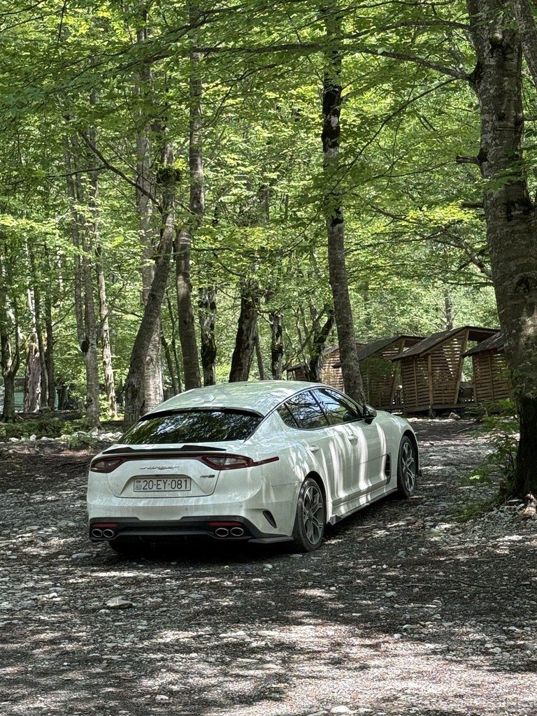 Kia Stinger, 2.0 L, 2020 il, 196 340 km 20-EY-081 — Avtomobillər, Ağdam (2)