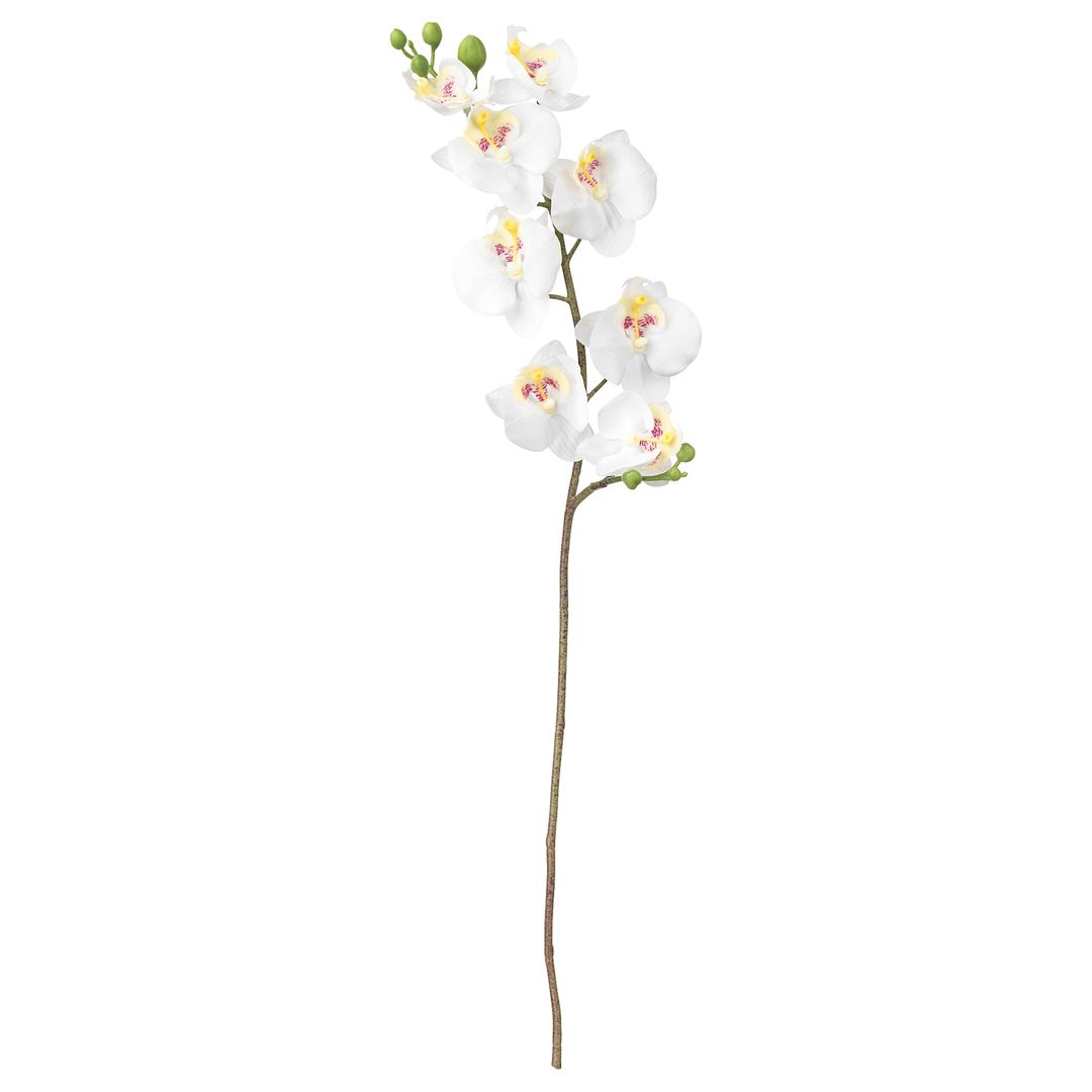 Süni çiçək IKEA Smycka 803.335.85, 60 sm, ağ — Mallar, Bakı