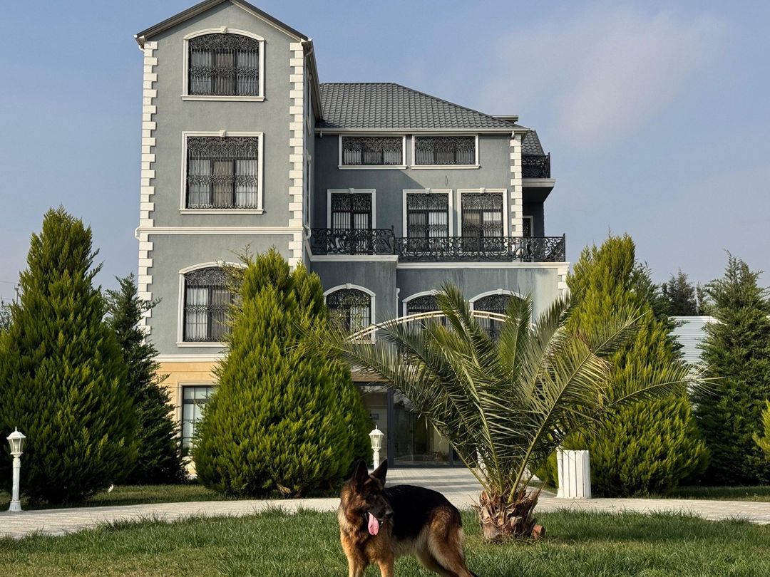 Satılır 7 otaqlı həyət evi/bağ evi 850 m² — Ev, villa, Bakı (2)