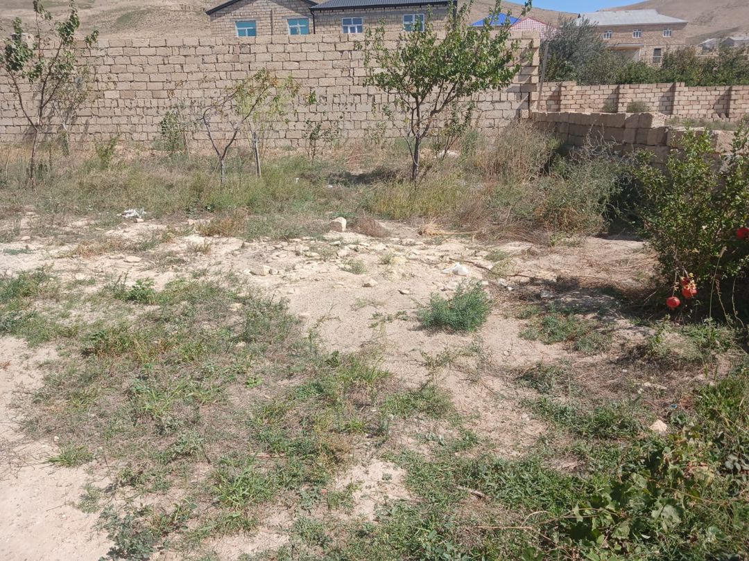 2 sot torpaq sahəsi, Qobu qəs — Torpaq, Bakı (9)