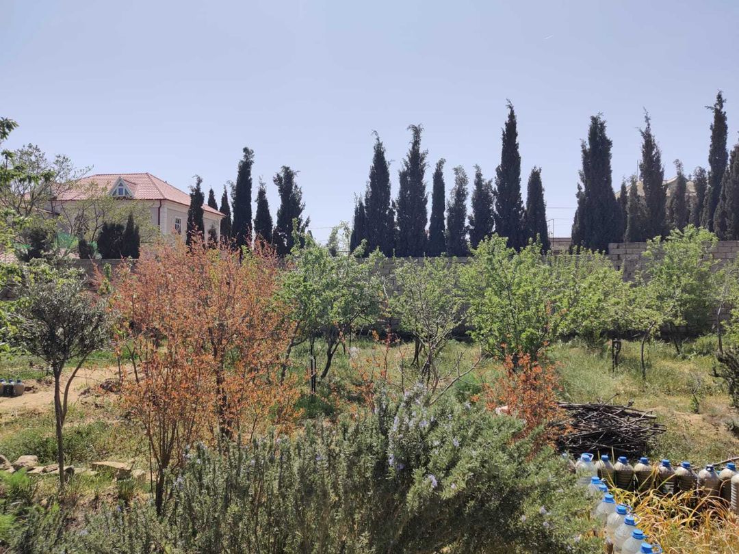 Satılır 2 otaqlı həyət evi/bağ evi 22 m² — Ev, villa, Bakı (2)