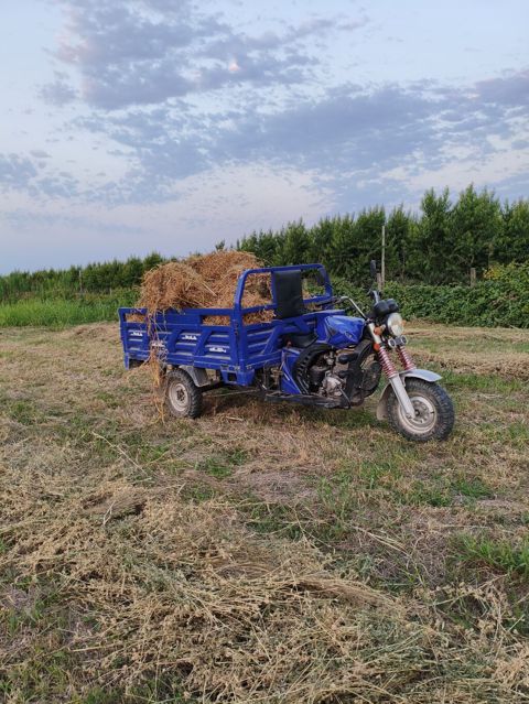 Yükdaşıma üçtəkərli motosiklet (trisikl) – mavi rəng .Quba isnovqışlaq — Xaçmaz