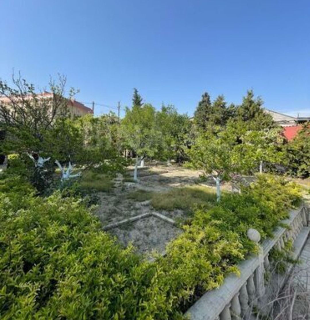 Satılır torpaq 8 sot — Torpaq, Bakı (4)
