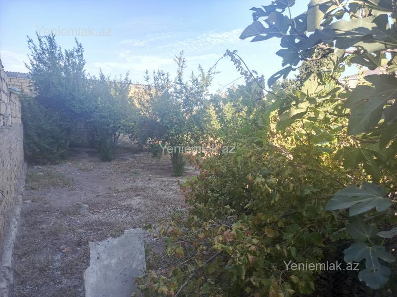 Satılır Torpaq sahəsi, 10 sot, Yeni Corat (Novruz q.) — Torpaq, Sumqayıt (11)