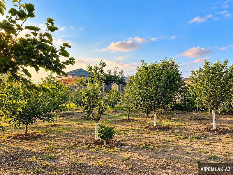 Abşeron rayonunda 7 otaqlı Villa Satılır, 246 m² — Ev, villa, Bakı (7)