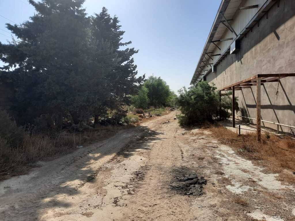 Satılır torpaq 110 sot — Torpaq, Bakı (5)