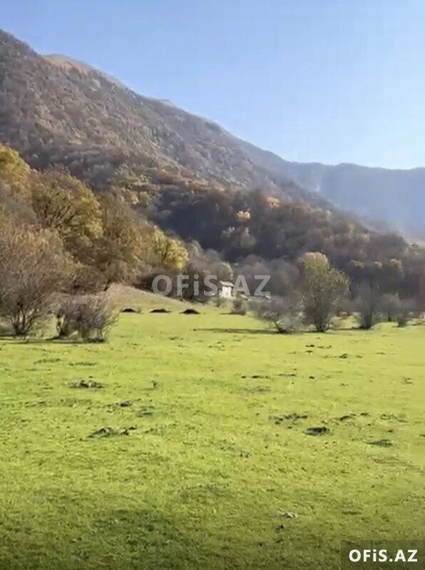 Torpaq Satılır Oğuz, Oğuzda torpaq, 81 sot — Torpaq, Oğuz (7)