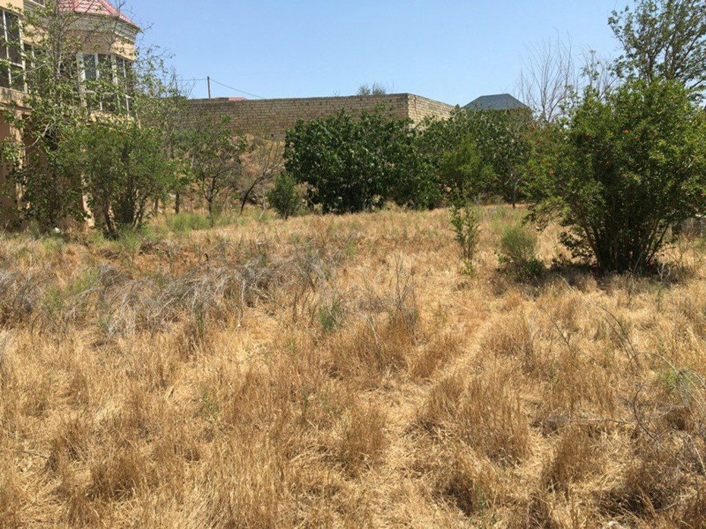 Satılır torpaq 8 sot — Torpaq, Bakı (4)