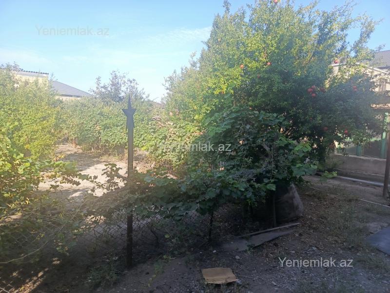 Satılır Torpaq sahəsi, 10 sot, Yeni Corat (Novruz q.) — Torpaq, Sumqayıt (12)