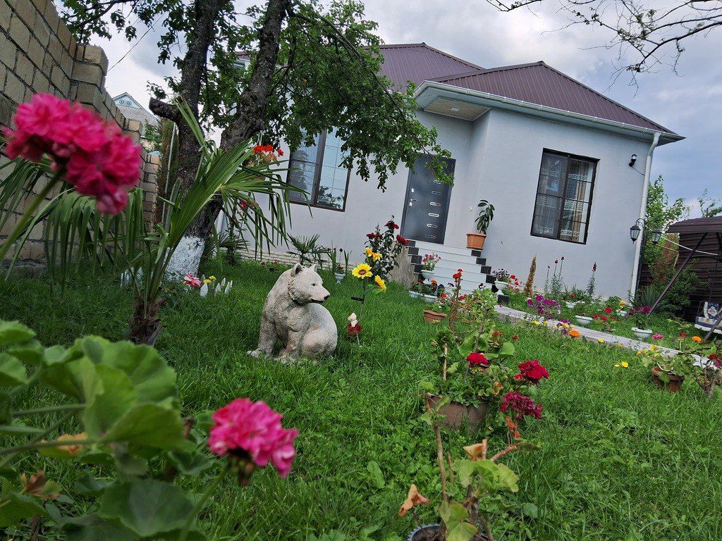 Həyət evi kirayə verilir, Qəbələ ş — Ev, villa, Qəbələ (5)