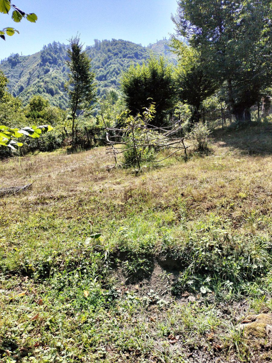 Satılır torpaq 60 sot — Torpaq, Qəbələ (2)
