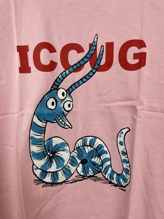 Futbolka "Iccug Gucci" — Geyim, ayakkabı, aksesuarlar, Bakı (3)