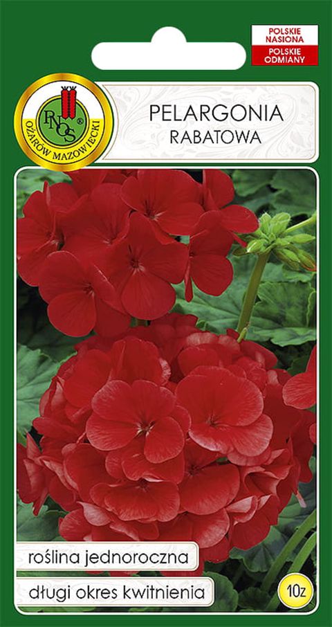 Çiçək toxumları Pnos Pelargonia Rabatowa, qırmızı, 10 əd — Bakı