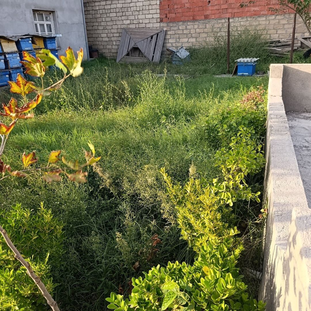 Həyət evi, Binəqədi r — Ev, villa, Bakı (7)