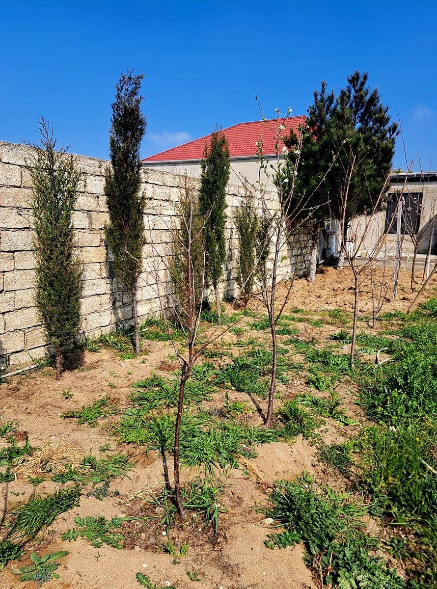 Satılır torpaq 5.6 sot — Torpaq, Bakı (7)